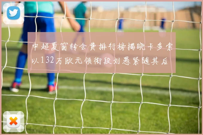 中超夏窗转会费排行榜揭晓卡多索以132万欧元领衔段刘愚紧随其后