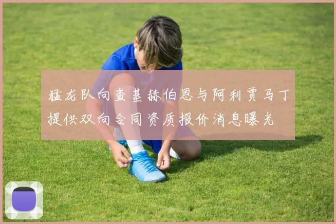 猛龙队向查基赫伯恩与阿利贾马丁提供双向合同资质报价消息曝光